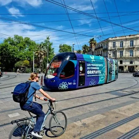 Coeur Lumiere Montpellier