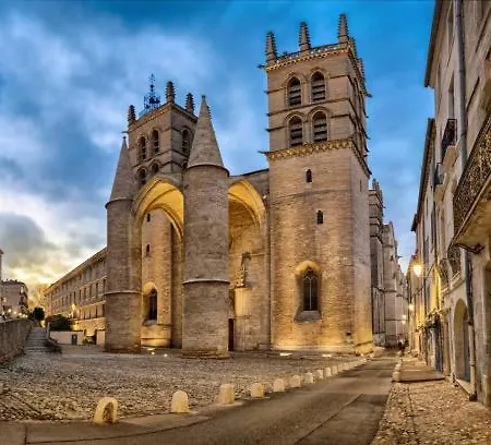 Coeur Lumiere Montpellier